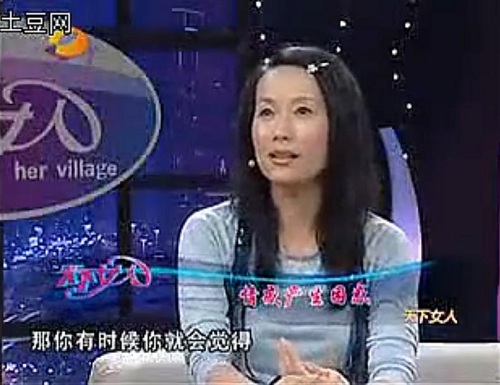 杨澜访谈，叶童