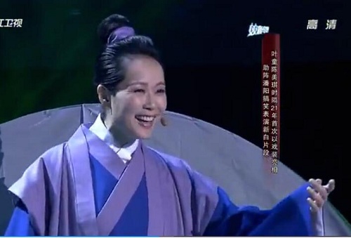我不是明星，叶童