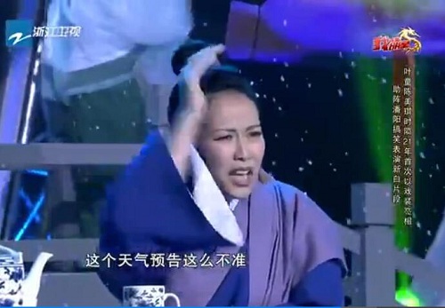 我不是明星，叶童