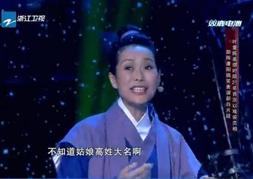 我不是明星，叶童