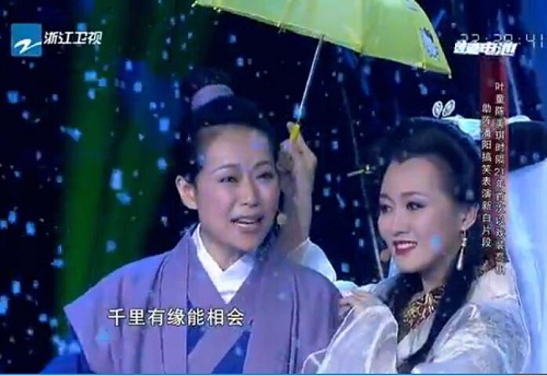 我不是明星，叶童