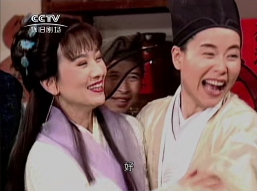 叶童，赵雅芝，状元花